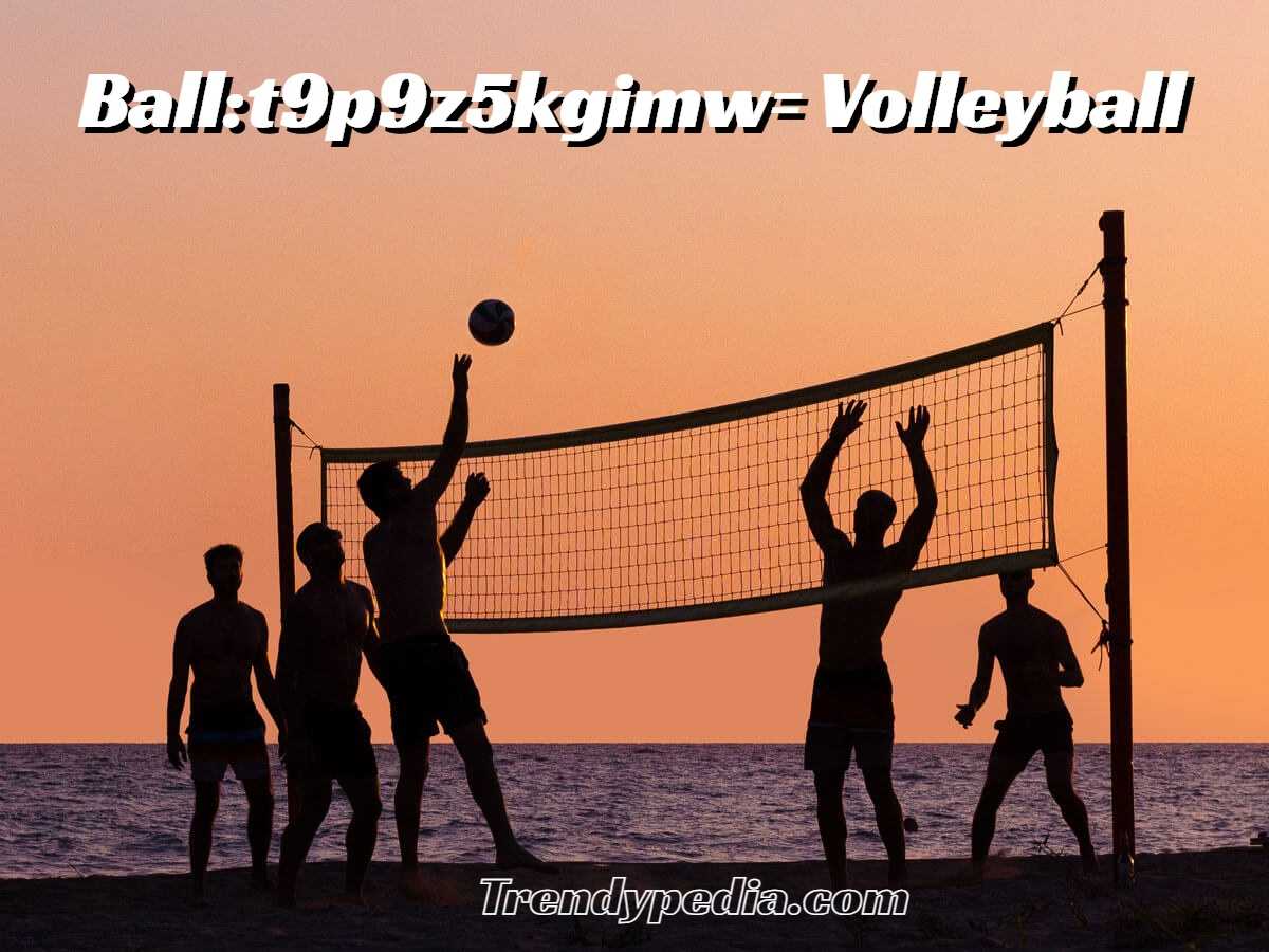 Ball:t9p9z5kgimw= Volleyball